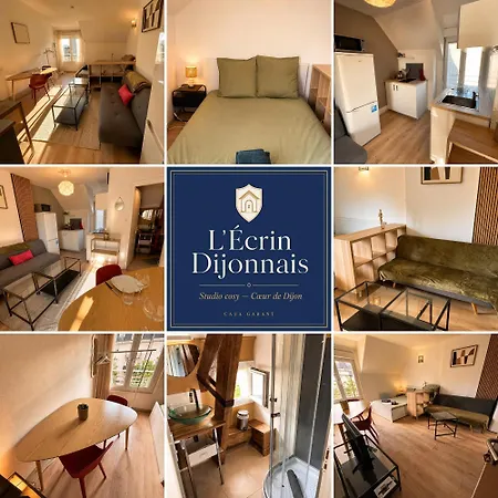 Apartment L'ecrin Dijonnais Confort *