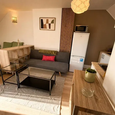 L'ecrin Dijonnais Confort Apartment