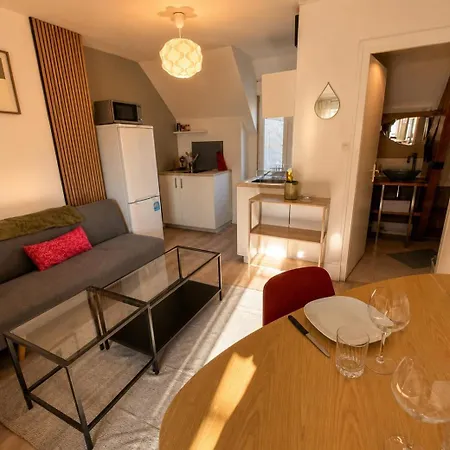 Apartment L'ecrin Dijonnais Confort Dijon